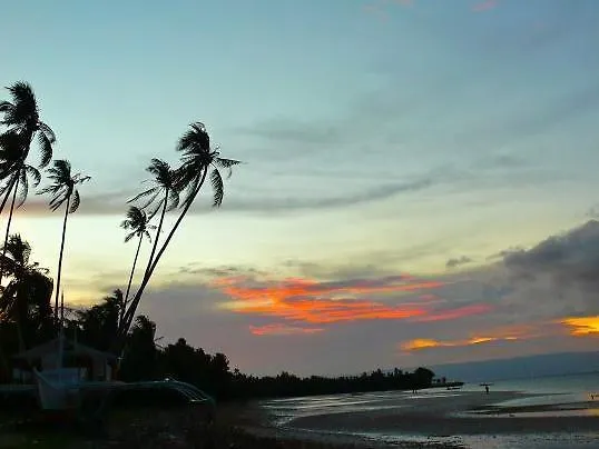 Sea Corals Beach Resort Panglao Hotel